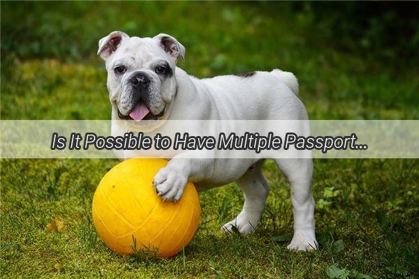 Is It Possible to Have Multiple Passports and Microchips for Your Dog Discover the Truth